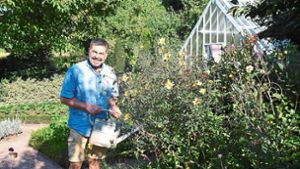 Bleichheimer Experte erklärt, wie der Garten über den Sommer kommt