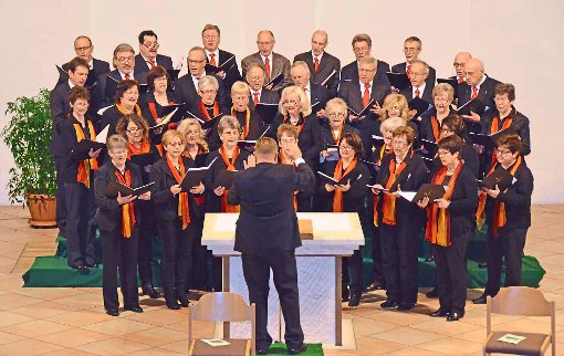 Der qualitätsstarke Kirchenchor ist federführend verantwortlich für einen besonderen Abend in der Dietinger Kirche. Foto: Graf Foto: Schwarzwälder-Bote