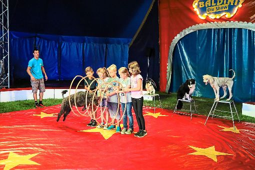 Tricks mit Hunden gibt es bei der Zirkusvorstellung der Ebhauser Grundschule ebenso zu sehen wie Hula-Hoop, Artistik, Jonglage und vieles mehr. Foto: Geisel Foto: Schwarzwälder-Bote