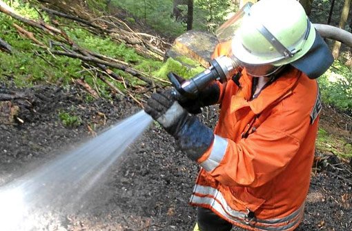Die steile Hanglage erschwert den Einsatz der Feuerwehrkräfte beim Brand im Gremmelsbacher Seelenwald.  Foto: Weisser