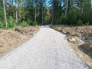 Auf 500 Metern wurde der Forstweg im Bereich Hardt erneuert. Von der Vegetation rechts und links ist momentan nicht mehr viel übrig. Für die Gelbbauchunke wurden neue Tümpel angelegt. Der Weg ist noch gesperrt.  Foto: Otto/Lübke