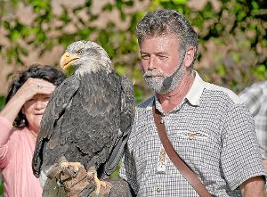 Falkner Franz Ruchlak, hier mit einem Adler, kommt mit seiner Greifvogelschau auf den Neuweiler Sportplatz.  Foto: Falknerei Foto: Schwarzwälder-Bote