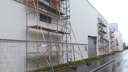 Baugerüste stehen an einigen Stellen der Fassade des Schwarzwald-Centers.   Foto: Breitenreuter
