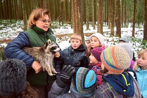 Tier entdeckt – Eva Jauch-Pagenstecher kennt sich aus mit den Wildtieren im Wald.  Foto: Hettich-Marull Foto: Schwarzwälder-Bote