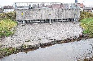 An 34 Tagen im vergangenen Jahr war das Regenüberlaufbecken in Waldmössingen so voll, dass der Überlauf mit Kanalisationswasser in den Heimbach gelangte. Dies sieht ein Anwohner als unhaltbaren Zustand. Foto: Herzog Foto: Schwarzwälder-Bote