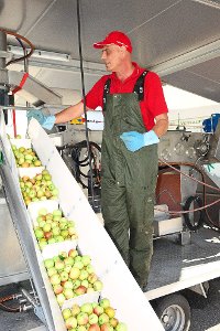 Martin Schiller kontrolliert das Förderband, über das die Äpfel zunächst in einen Wassertank transportiert werden. Foto: Schwarzwälder-Bote