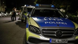 Ex-Freund von Paris Hilton in Villingen festgenommen - doch dann kommt alles anders