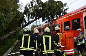 Ein heftiges Unwetter über Heidelberg und dem Rhein-Neckar-Raum hat Schäden in Höhe von insgesamt rund 650.000 Euro angerichtet. Bei Bammental (Rhein-Neckar-Kreis) ist ein Baum auf einen S-Bahn-Zug gestürzt und hat die Oberleitung beschädigt. Foto: dpa