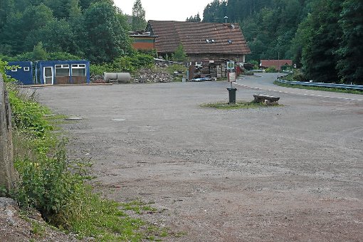 Der  Behelfs-Parkplatz am Wolf- und Bärenpark  Foto: Adrian Foto: Schwarzwälder-Bote
