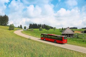 Der Zwei-Schluchten-Bus  startet am 25. April in die Saison und bedient damit wieder die beleibte Strecke zwischen Löffingen und Döggingen. Foto: RVF GmbH/fotodesign Jürgen Gocke Foto: Schwarzwälder-Bote