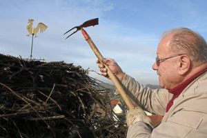 Friedrich Widmann aus Neudingen ist seitens der Vogelschutzwarte Radolfzell mit der Überwachung beauftragt. Er säuberte und verkleinerte das Nest auf dem Tuninger Kirchturm.   Foto: Bieberstein Foto: Schwarzwälder-Bote