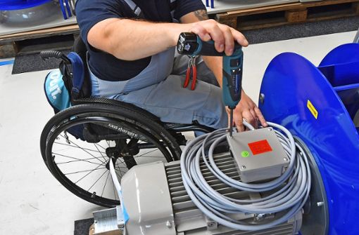 Die Inklusion von Mitarbeitern mit schwerer Behinderung kann gut gelingen. Foto: zb/dpa/Hendrik Schmidt