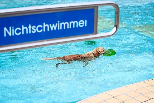 Von wegen Nichtschwimmer:  Am 20. September können sich Hunde im Freibad Loßburg austoben.  Foto: Ebener Foto: Schwarzwälder-Bote
