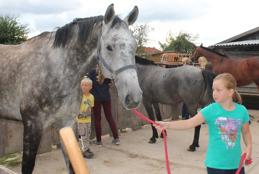 Das Zusammensein mit   Pferden fasziniert viele Kinder und Jugendliche.   Fotos: Reinhardt Foto: Schwarzwälder-Bote