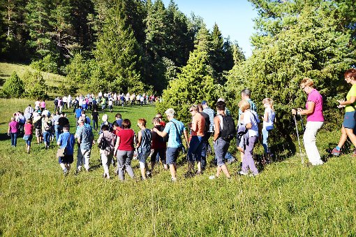 Die Wanderschar bei der Ferienwanderung in Unterdigisheim ist auf dem Weg zum den Mischwald: Thomas Holl informiert sie bei jedem Halt über Flora und Fauna. Fotos: Lissy Foto: Schwarzwälder-Bote