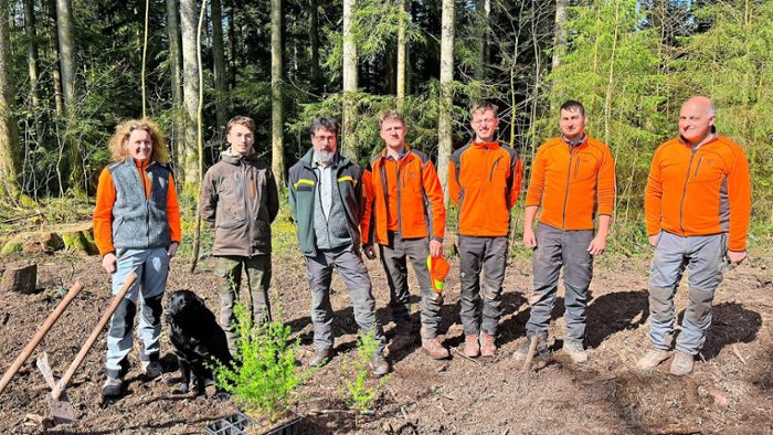 Forst-BW Mittlerer Schwarzwald: So werden unsere Wälder klimafit