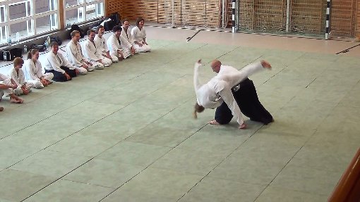 Aikido-Lehrer Marko Unnasch demonstrierte den Schülern dynamische Wurftechniken. Foto: Aiki Simmersfeld Foto: Schwarzwälder-Bote