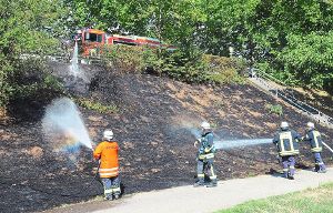 Die Feuerwehr musste in Offenburg einen Flächenbrand löschen.  Foto: Künstle