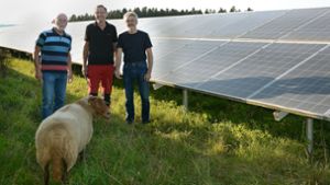 Solarmodule erzeugen eine Million  Kilowattstunden Strom pro Jahr