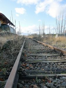 Die Kosten für den Ausbau der Bahnstrecke nach Weil der Stadt bewegen nach wie vor die Gemüter in der Region. Foto: Archiv Foto: Schwarzwälder-Bote