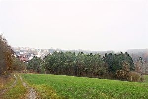 Am Bibbes über der Rottenburger Halde und dem Schützenhaus in Bietenhausen wird  das Nikolausfeuer angezündet.  Foto: Beiter Foto: Schwarzwälder-Bote