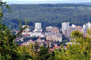 Umgeben von Wald: Der Stuttgarter Bezirk Botnang ist laut einer Studie für Immobilienkäufer erschwinglich. Foto: Leserfotograf andy1955