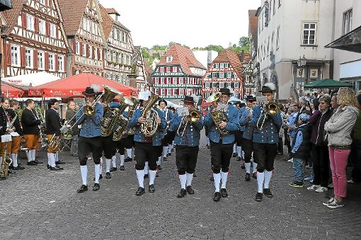 Beim Stadfest 2013 marschierten die Musikkapellen Calw, Stammheim und Altburg gemeinsam ein. Foto: Archiv Fritsch