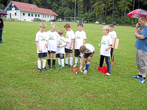 Viele junge Fußballer nahmen am Samstag das Angebot des SV Salmendingen zum Tag des Kinderfußballs wahr. Foto: Straubinger Foto: Schwarzwälder-Bote