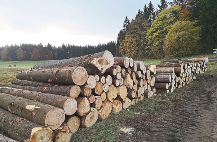 Holzpreise in Straßberg: Bürger müssen tiefer in die Tasche greifen