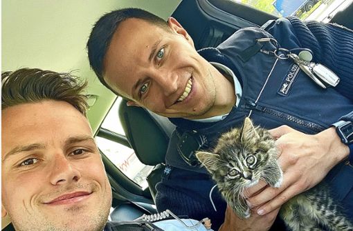 Polizeibeamte haben am Donnerstag ein Katzenbaby von der Autobahn bei Achern gerettet. Foto: Polizei