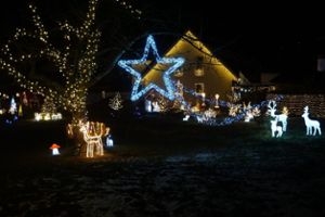 Das Weihnachts-Wunderland in Mössingen-Talheim. Foto: Bauer