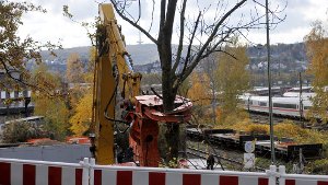 Bahn will Bäume am Rande des Rosensteinparks vorerst nicht fällen