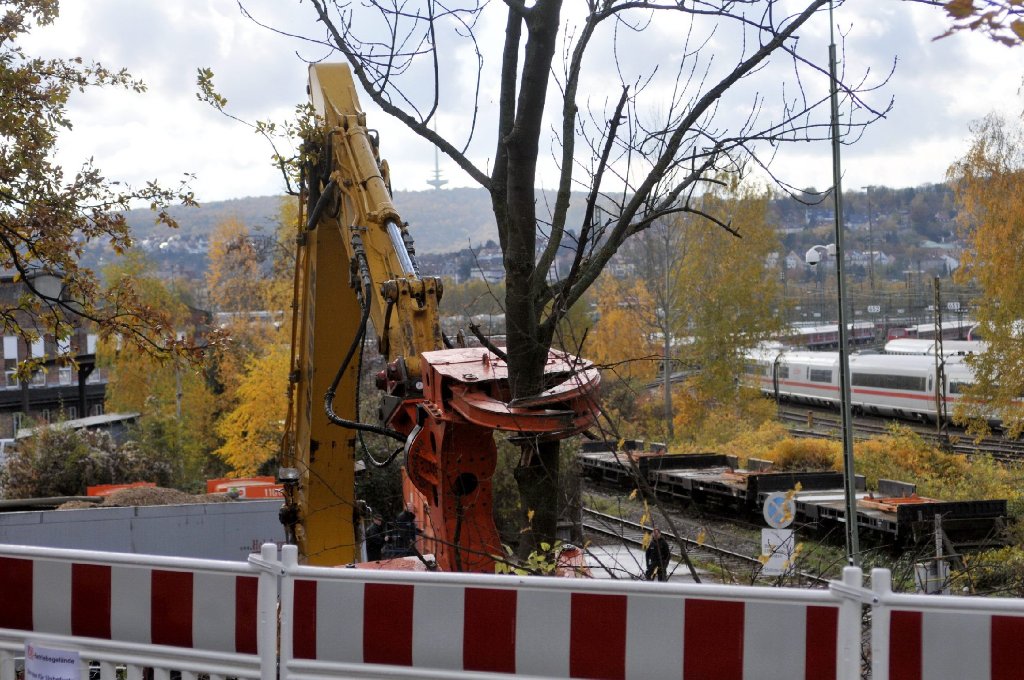 Stuttgart 21: Bahn will Bäume am Rande des Rosensteinparks vorerst nicht fällen