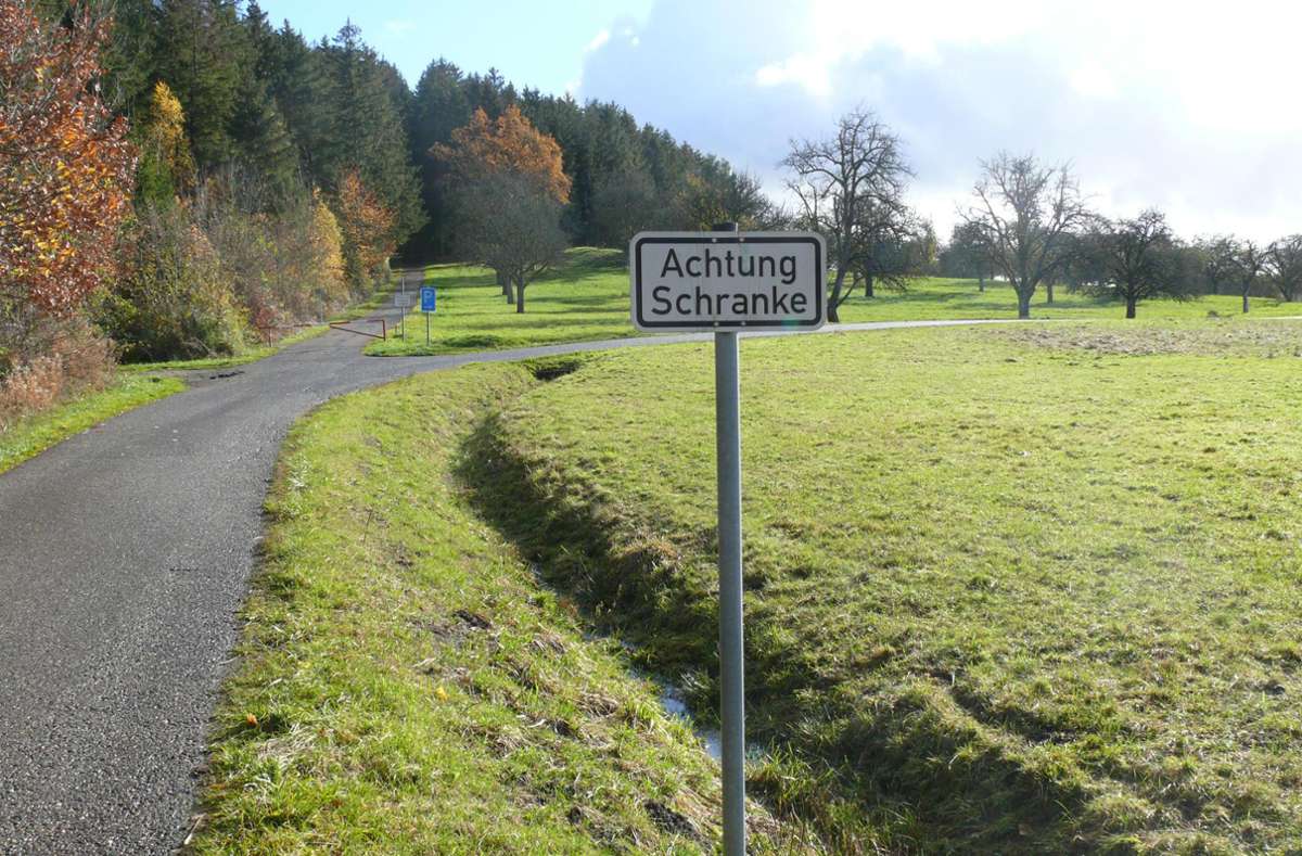 In diesem Bereich auf dem Palmbühl könnte der Schömberger Waldkindergarten entstehen. Foto: Visel