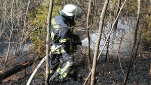 Feuerwehreinsatz: Große Waldfläche brennt