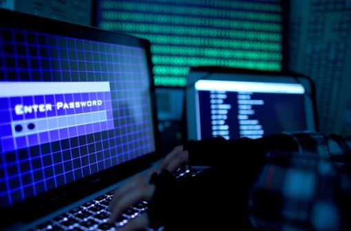 Cyberkriminalität ist zu einer massiven Bedrohung für Privatleute, Firmen und sogar die Polizei geworden. Foto: dpa/Oliver Berg