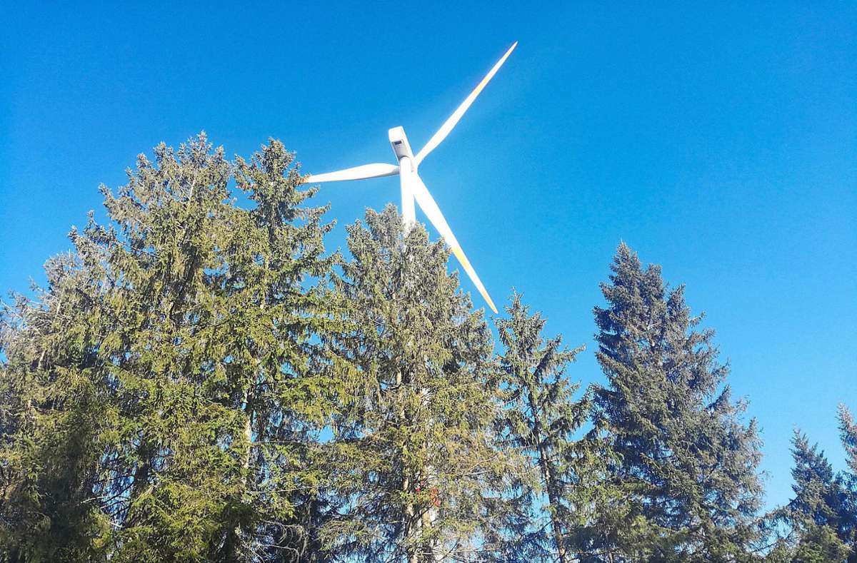 Das Thema Windenergie erhitzt immer wieder die Gemüter. Foto: Michel