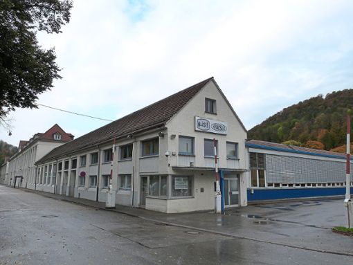 Die Firma Mauser-Werke Oberndorf Maschinenbau GmbH steckt in Schwierigkeiten, meldete Insolvenz an. Foto: Danner