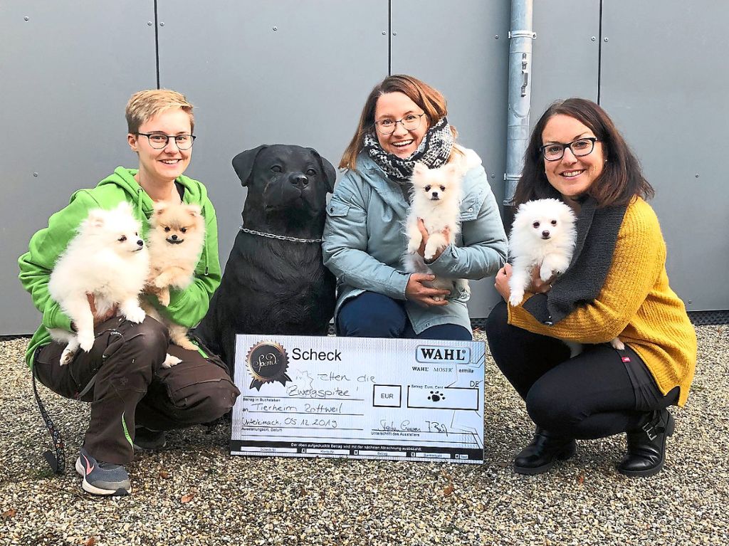 Mandy Zumbroich (Tierschutzverein Rottweil u.U.e.V., von links), Madlen Götz (Marketing WAHL Animal), Damaris Höld (Produktmanagement WAHL Animal)  Foto: Wahl