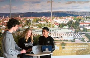 Schüler der Heinrich-Schickhardt-Schule beim digitalen Lernen.  Foto: Spallek Foto: Schwarzwälder Bote