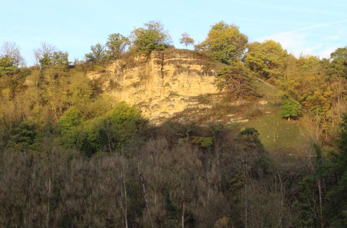 Der Kapffelsen ist Teil des Naturschutzgebiets. Foto: Steinmetz