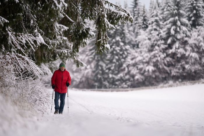 Nationalpark Schwarzwald: Was Wanderer im Winter beachten sollten