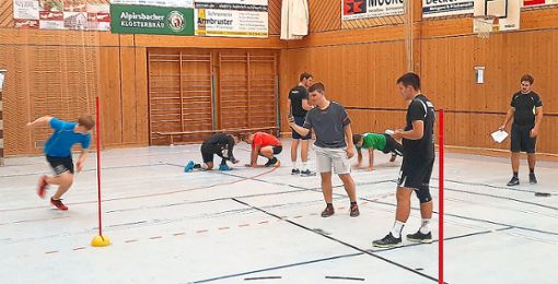 Intensive Trainingseinheiten absolvierten die Handballer der SG Schenkenzell/Schiltach bislang.Foto: Frei Foto: Schwarzwälder Bote