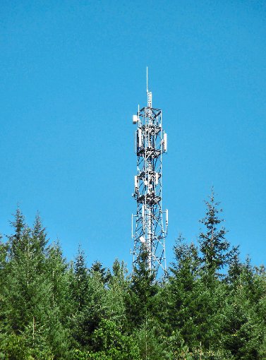 Über Mobilfunkanlagen wie diese in Hornberg werden die Bürger mit Handynetz und mobilen Daten versorgt. Foto: Forth