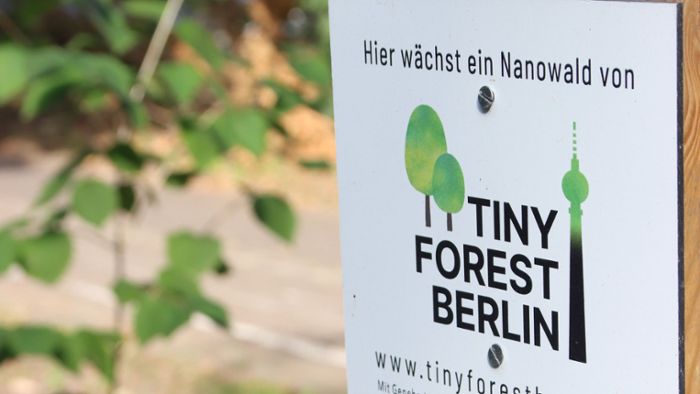 Mannheim bekommt ersten Tiny Forest