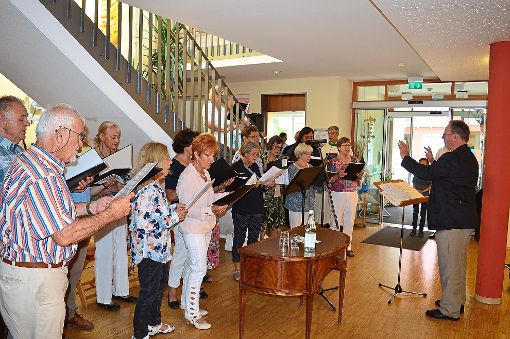 Der evangelische Kirchenchor unter der Leitung von Hartmut Lübben bereicherte das Fest.   Foto: Bantle Foto: Schwarzwälder-Bote