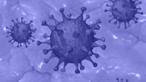 Coronavirus: 20 weitere Infektionen