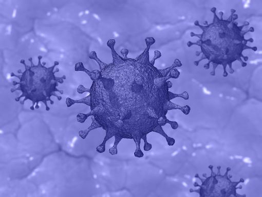 Im Landkreis Calw gibt es 20 weitere bestätigte Infektionen mit dem neuartigen Coronavirus. Foto: Pixabay