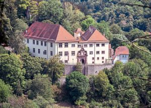 Viele Kulturbetriebe und Museen, wie das Schloss Neuenbürg (Foto), kämpfen mit den Auswirkungen der Corona-Krise. (Archivfoto) Foto: ARTIS Uli Deck