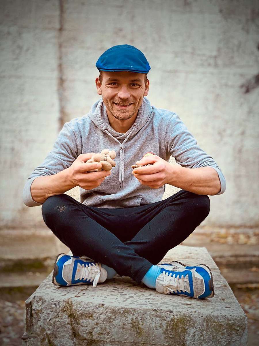 Christoph Hauser hält Austernseitlinge in den Händen. Die Pilze gelten als sehr schmackhaft. 
